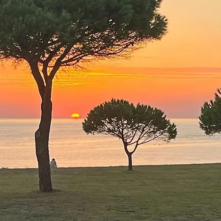 Magnifique Vue îles Et Océan-seaside-