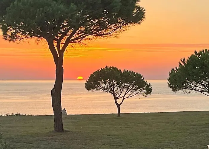 Magnifique Vue îles Et Océan-seaside-